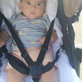 Футболка BabyGо: отзыв пользователя Детский Мир