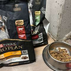 Фото отзыва 10728026