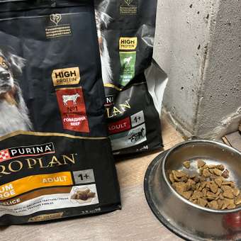 Корм для собак PRO PLAN Duo Delice говядина с рисом 2.5кг: отзыв пользователя. Зоомагазин Зоозавр