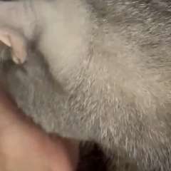 Видео отзыва 11048896