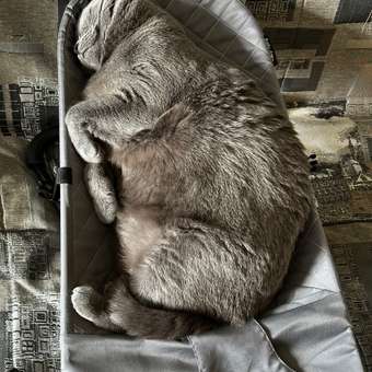 Шезлонг Babyton Balance серый: отзыв пользователя ДетМир