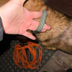 Фото отзыва 11103182