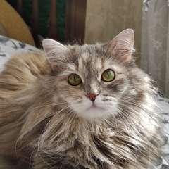 Фото отзыва 10657636