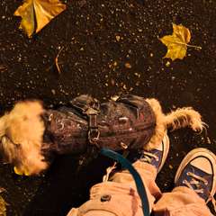 Фото отзыва 12141413