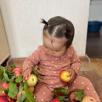 Легинсы BabyGо: отзыв пользователя Детский Мир