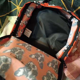 Рюкзак Erhaft Бульдог: отзыв пользователя Детский Мир