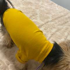 Фото отзыва 10845381