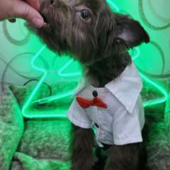 Фото отзыва 10747230