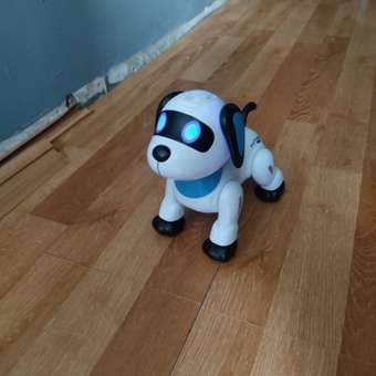 Собака РУ Mobicaro Собака: отзыв пользователя Детский Мир