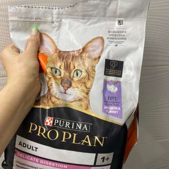 Корм сухой для кошек PRO PLAN DELICATE DIGESTION 3 кг с индейкой: отзыв пользователя. Зоомагазин Зоозавр