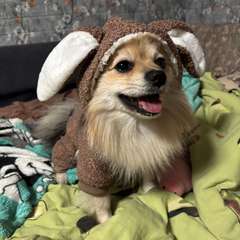 Фото отзыва 10301070