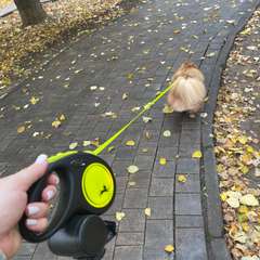 Фото отзыва 10503327