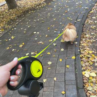 Рулетка Flexi New Classic S лента 5м до 15кг Желтый неон: отзыв пользователя. Зоомагазин Зоозавр