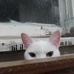 Фото отзыва 10530176