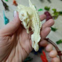 Фото отзыва 11296639