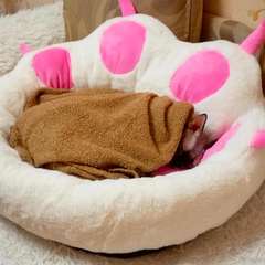 Фото отзыва 10816145