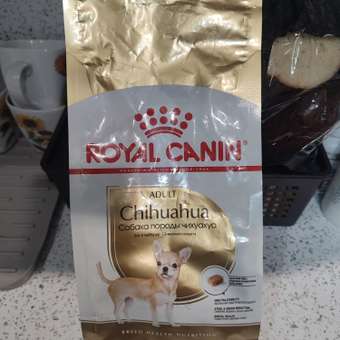 Корм для собак ROYAL CANIN породы чихуахуа 500г: отзыв пользователя. Зоомагазин Зоозавр