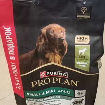 Корм для собак PRO PLAN Optidegest мелких и карликовых пород с чувствительным пищеварением ягненок-рис 2.5кг+500г 67208: отзыв пользователя. Зоомагазин Зоозавр