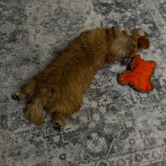 Фото отзыва 10729172