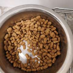 Фото отзыва 10715761