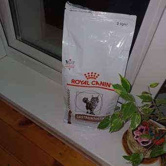 Корм для кошек ROYAL CANIN 350г Gastrointestinal Fibre Response: отзыв пользователя. Зоомагазин Зоозавр