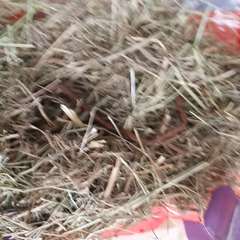 Видео отзыва 10847083