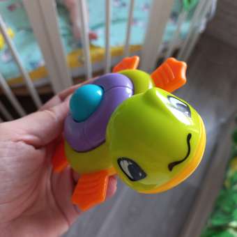 Игрушка BabyGo Черепашка: отзыв пользователя ДетМир