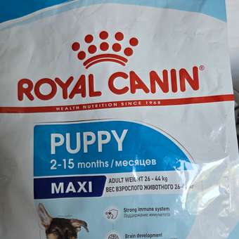 Корм для щенков ROYAL CANIN Maxi Puppy 3кг: отзыв пользователя. Зоомагазин Зоозавр