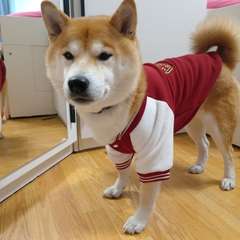 Фото отзыва 10952081