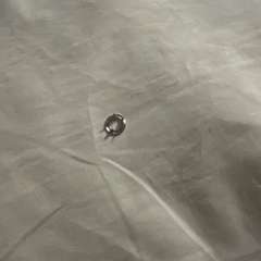 Фото отзыва 8246064