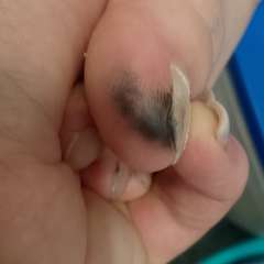 Фото отзыва 10700749