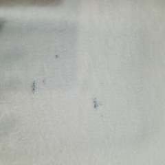 Фото отзыва 10522171