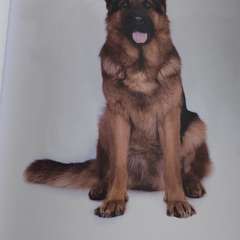 Фото отзыва 10656994