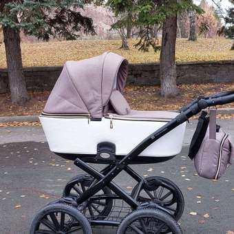 Коляска 2 в 1 Adamex Reggio Retro: отзыв пользователя Детский Мир