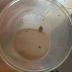 Фото отзыва 10574078