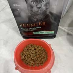 Фото отзыва 10546325