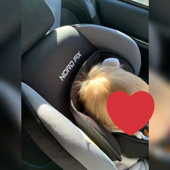Автокресло Babyton Nord Fix Black-Grey Isofix 0+/1 (0-18 кг): отзыв пользователя ДетМир