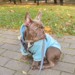 Фото отзыва 10694571