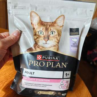 Корм сухой для кошек PRO PLAN DELICATE DIGESTION 400г с индейкой: отзыв пользователя. Зоомагазин Зоозавр