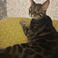 Фото отзыва 10723356