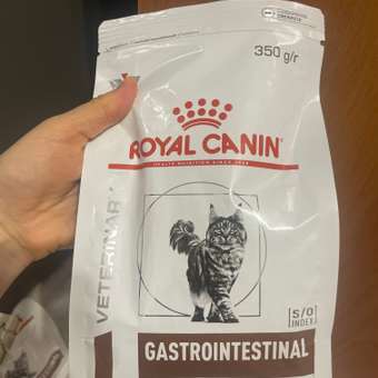 Корм для кошек ROYAL CANIN Gastrointestinal Hairball для профилактики образования волосяных комочков 350г: отзыв пользователя. Зоомагазин Зоозавр