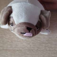 Фото отзыва 5223857