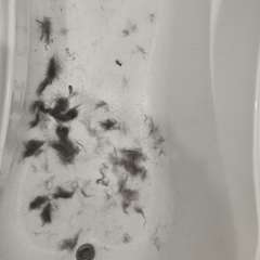 Фото отзыва 11021171