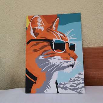Картина по номерам Hobby Paint Крутой котик в ассортименте: отзыв пользователя Детский Мир