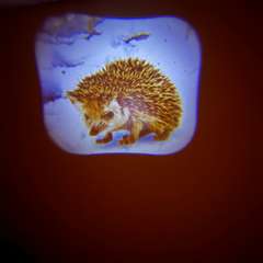 Фото отзыва 10520130