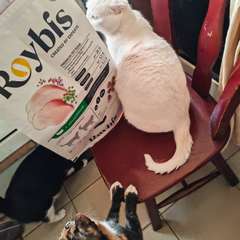 Фото отзыва 11204911