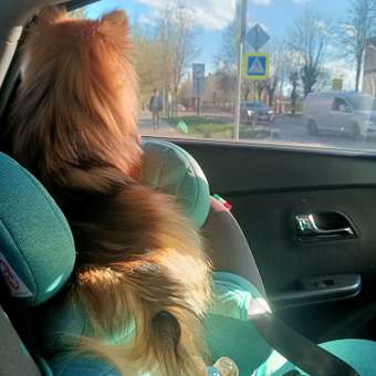 Автокресло Sweet Baby Crosstour Isofix 0+/1/2/3 (0-36 кг) бирюзовый: отзыв пользователя Детский Мир