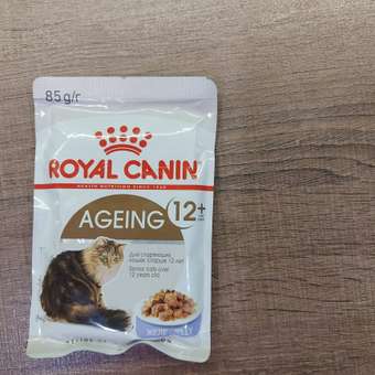 Корм для кошек ROYAL CANIN Ageing 85гр для пожилых 12+ желе пауч: отзыв пользователя. Зоомагазин Зоозавр