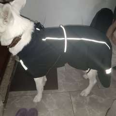 Фото отзыва 10636349