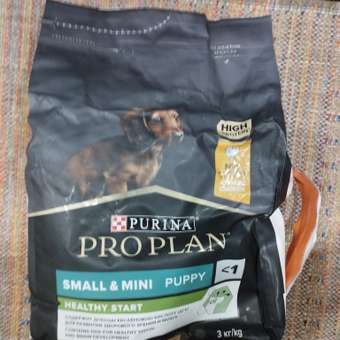 Корм сухой для щенков PRO PLAN HEALTHY START 3 кг с курицей для мелких и карликовых пород: отзыв пользователя. Зоомагазин Зоозавр